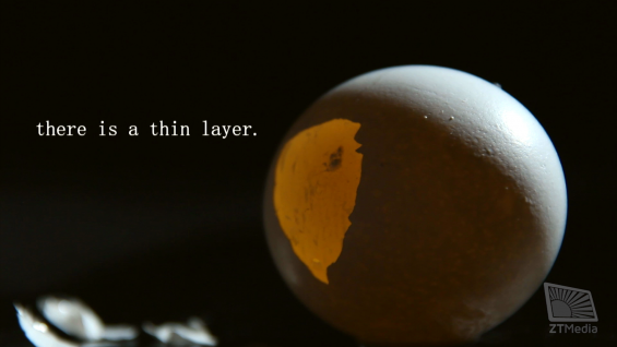 vlcsnap-2017-03-11-12h56m07s528