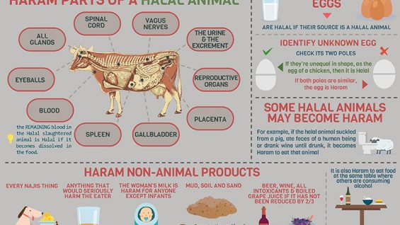 AIB-FASTING-ENG-MAY2017 Rezvan
