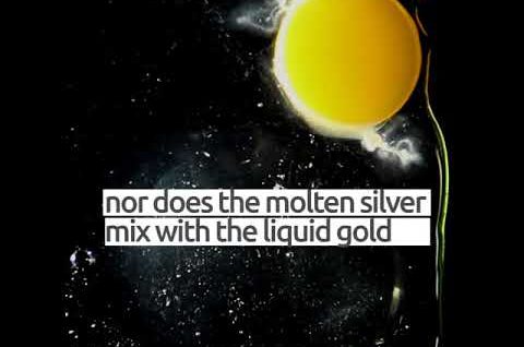 The atheist & the egg