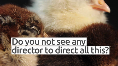 vlcsnap-2018-04-08-13h46m35s085