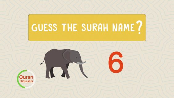 Quran Flashcards Challenge | Surah 91-114